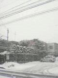 040205-001.jpg
