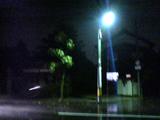 SN310089.JPG