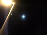 SN310094.JPG