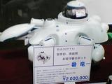 SA350391.JPG