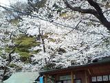 CA370478001.JPG