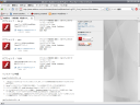 20080326_screenshot10.png